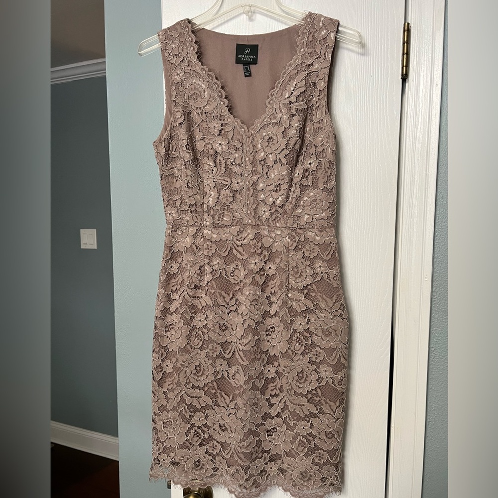Adrianna Papell lace body con dress